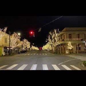 Meet your Posher, Dana